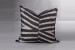 Zebra - Duck Feather Scatter Cushion Scatter Cushions - 2