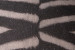Zebra - Duck Feather Scatter Cushion Scatter Cushions - 4
