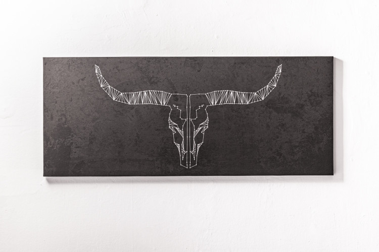 Longhorns Canvas Canvas Art - 1
