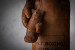 Stallone Leather Gloves - Bourbon Decor - 5