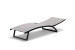 Alayna Pool Lounger - Grey and Black Sun and Pool Loungers - 5