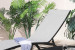 Alayna Pool Lounger - Grey and Black Sun and Pool Loungers - 7