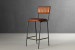 Crowe Leather Tall Bar Stool - Bourbon Bar & Counter Chairs - 1