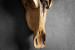 Brangus Wooden Sculpture Sculptural Art - 5