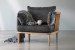 Vesta Velvet Armchair - Charcoal Armchairs - 1