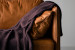 Jamali Moss Knit Throw - Aubergine Throws - 1