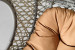 Addilyn Hanging Chair - Caramel Hanging Chairs - 9