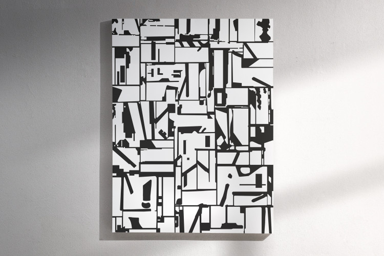 Premium Canvas - Abstract - Black & White Canvas Art - 3