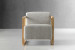 Baku Armchair - Silver Grey Occasional Chairs - 2