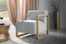 Baku Armchair - Luna Occasional Chairs - 1