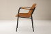 Aubrey Dining Chair - Tan Dining Chairs - 4