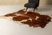 Nguni Cow Hide - Large Hides - 1