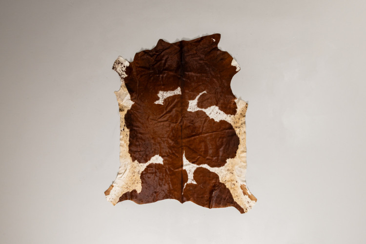 Nguni Cow Hide - Large Hides - 1