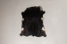 Nguni Cow Hide - Large Hides - 2