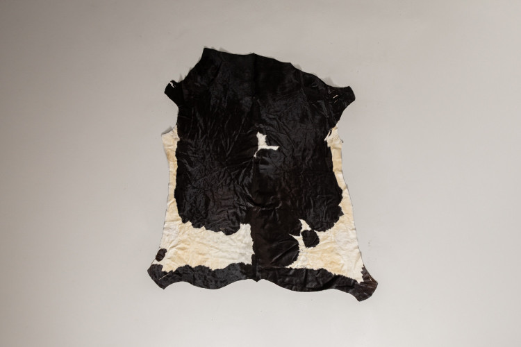 Nguni Cow Hide - Large Hides - 1