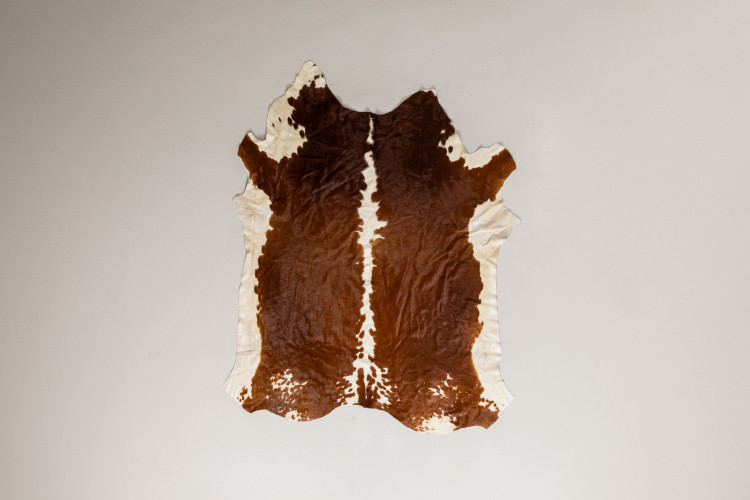 Nguni Cow Hide - Large Hides - 1