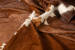 Nguni Cow Hide - Large Hides - 4