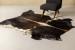 Nguni Cow Hide - Large Hides - 1