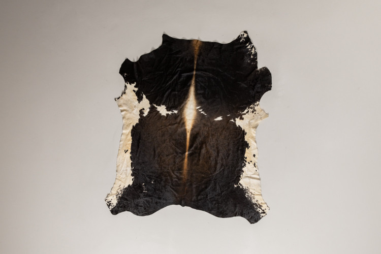 Nguni Cow Hide - Large Hides - 1