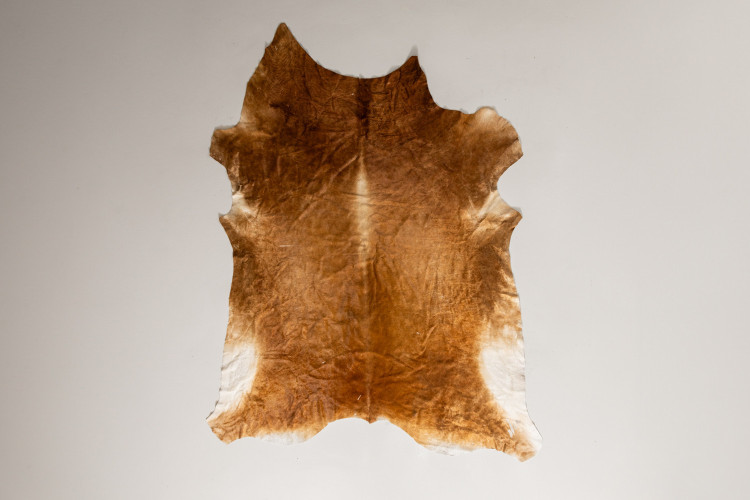 Nguni Cow Hide - Large Hides - 1