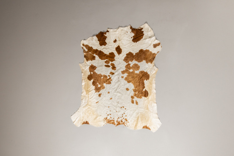 Nguni Cow Hide - Medium Hides - 1