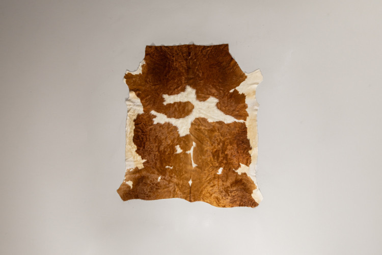 Nguni Cow Hide - Medium Hides - 1