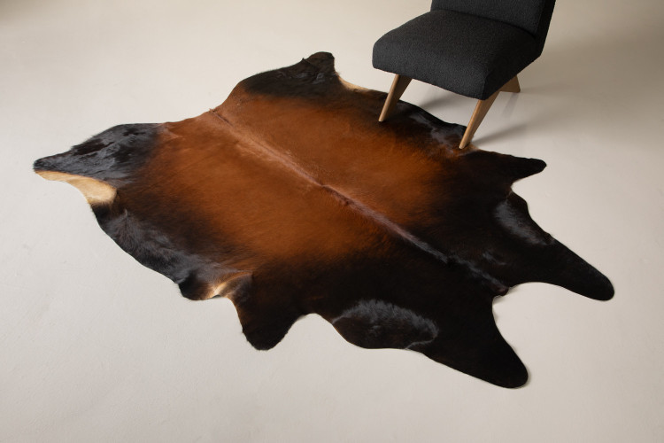 Brazilian Cow Hide - Medium Home - 1