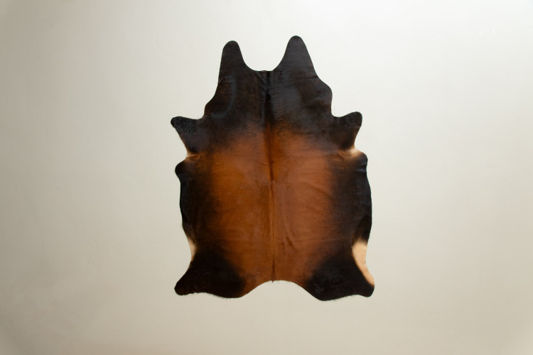 Brazilian Cow Hide - Medium Home - 1