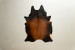 Brazilian Cow Hide - Medium Home - 2