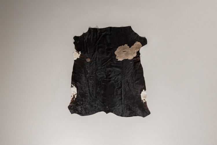 Nguni Cow Hide - Medium Hides - 1