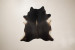 Brazilian Cow Hide - Large Hides - 2