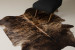 Brazilian Cow Hide - Large Hides - 3