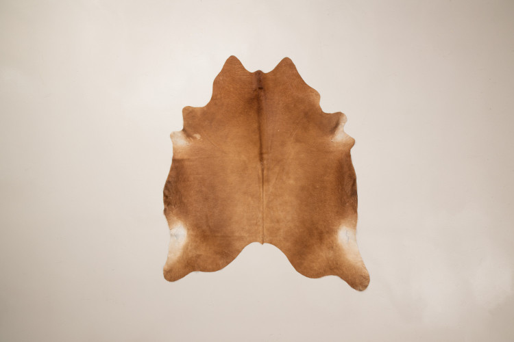 Brazilian Cow Hide - Medium Hides - 1