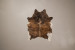 Brazilian Cow Hide - Medium Hides - 2