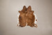 Brazilian Cow Hide - Medium Hides - 2