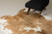 Brazilian Cow Hide - Medium Hides - 3