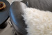 Brazilian Sheepskin Hides - 3
