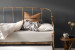 Helena Daybed Complete - Brushed Gold Living Room Furniture - 8