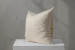 Sand Glow - Duck Feather Scatter Cushion Scatter Cushions - 6