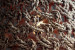Taiga Pendant - Medium Lamps & Pendants - 5