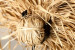 Nala Decorative Art - Large Sculptural Art - 6