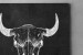 Premium Canvas - Skull Buffalo Canvas Art - 4