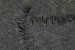 Mura Rug Rugs - 6