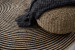 Merando Rug Rugs - 4