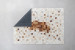 Zabia Cow Hide Rug Rugs - 10