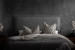 Lyla Headboard - Queen - Ash Headboards - 1