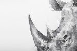 Rhino Abstract Canvas Art