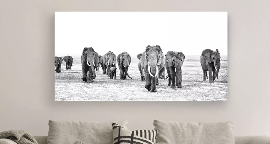 cielo_elephant_walk_canvas